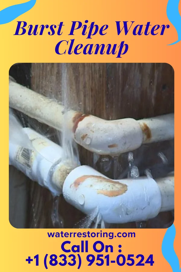 Burst Pipe Water Cleanup in St. Joseph, IA